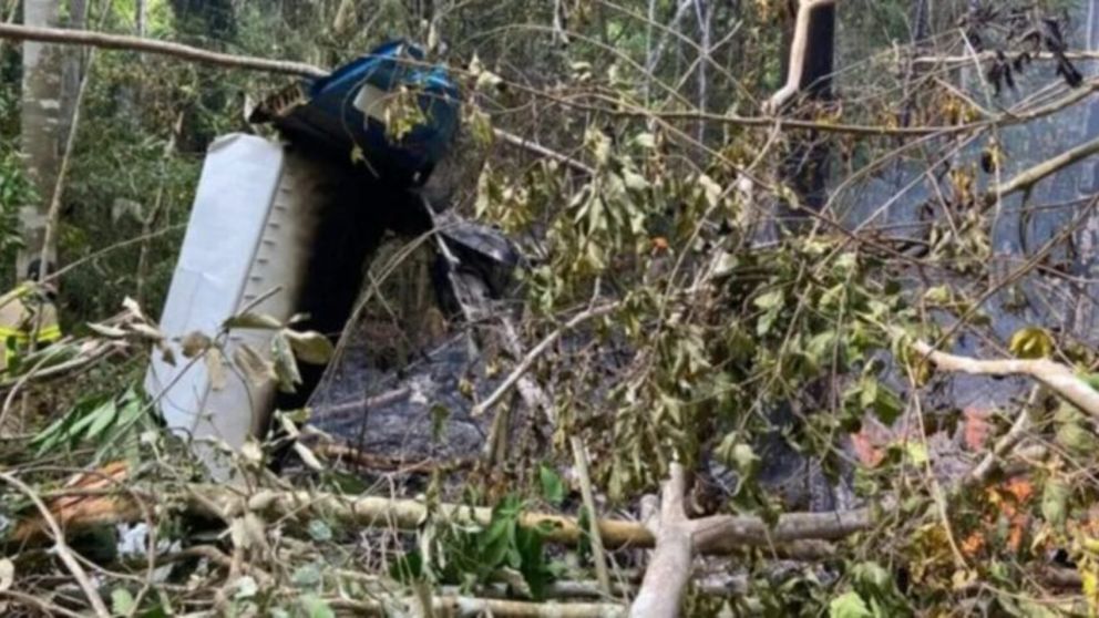 Tragedia: murieron doce personas por la caída de una avioneta en la Amazonia (Imagen redes sociales).