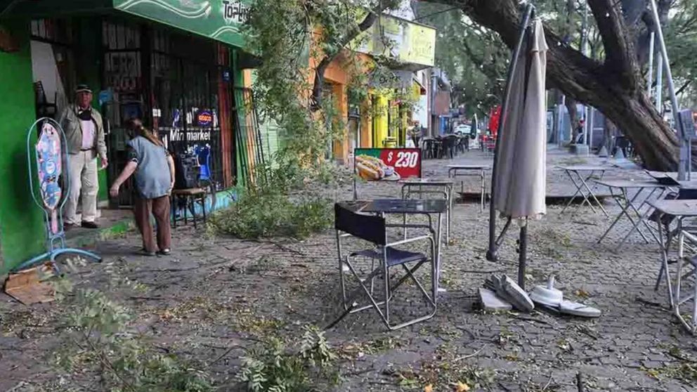 El Zonda arrasó en Mendoza: incendios, árboles caídos y voladuras de techos.
