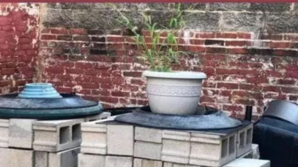 Prob� tus habilidades con este reto visual.