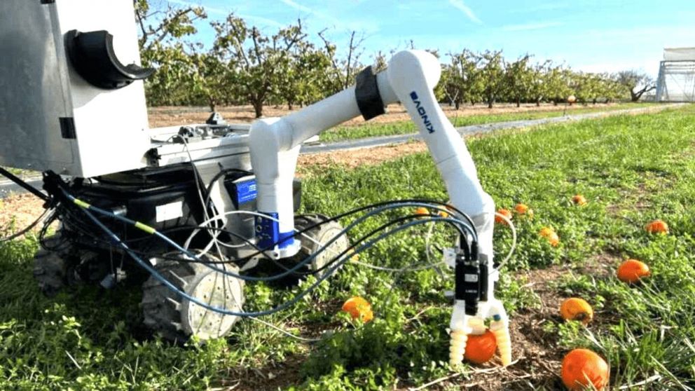 El robot llegó para evitar que se eche a perder la fruta (Twitter).