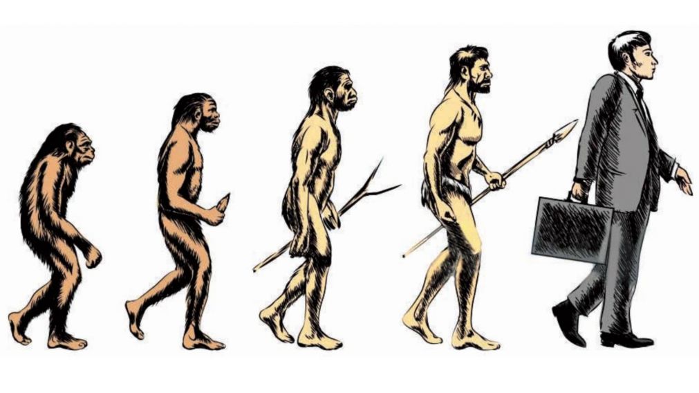 Especie humana: siguen faltando piezas.