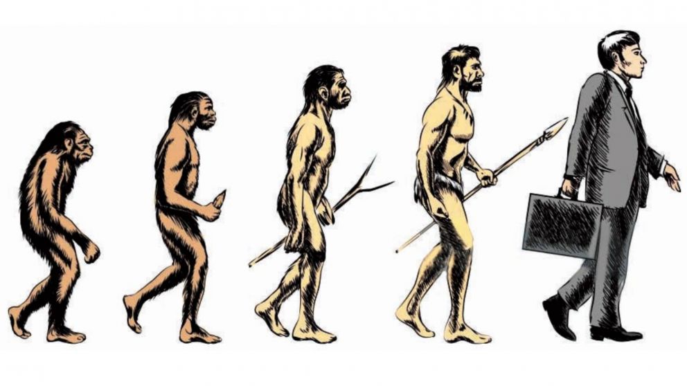 Especie humana: siguen faltando piezas.