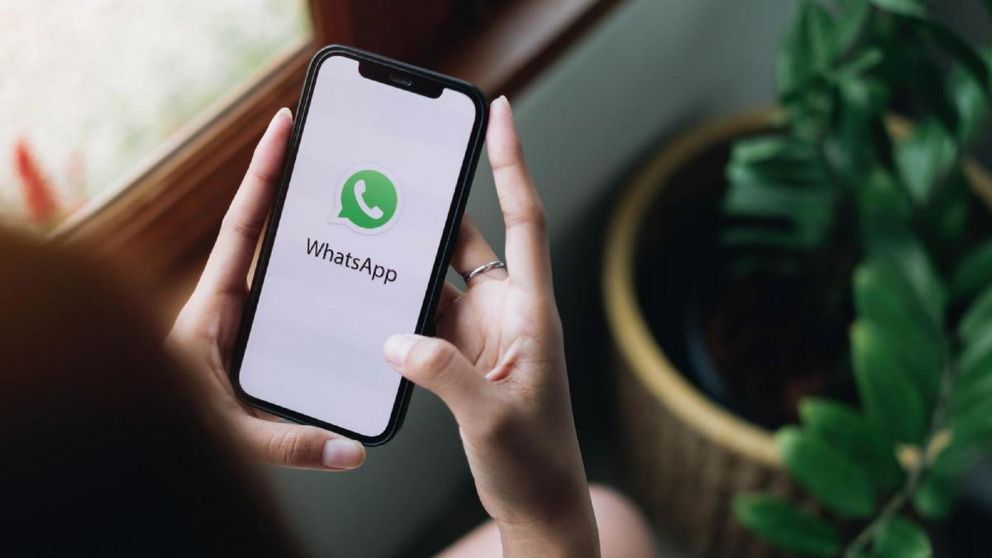 WhatsApp anunci� que los usuarios tendr�n la posibilida dde usar dos cuentas en un �nico celular, sin la necesidad de abrir y cerrar sesi�n.