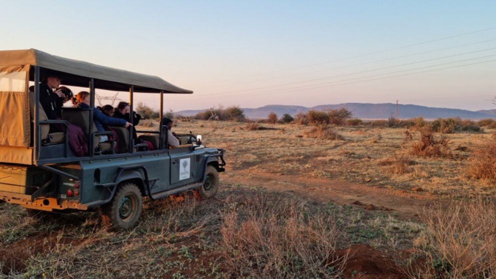 Una pareja fue asesina por terroristas vinculados a ISIS mientras festejaban en un safari (Imagen ilustrativa).