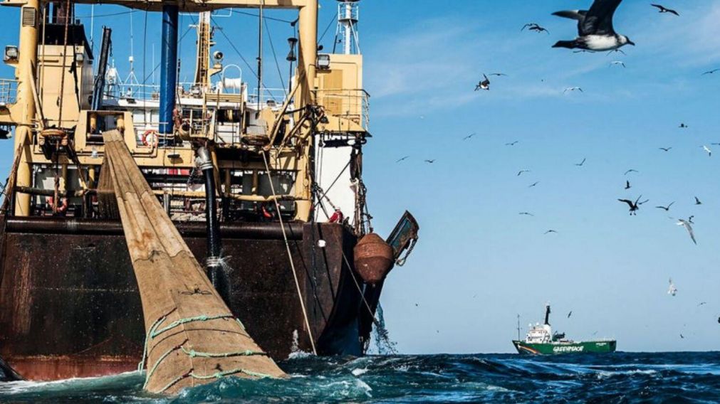 La pesca ilegal podría desatar un nuevo conflicto diplomático entre Argentina y Gran Bretaña.