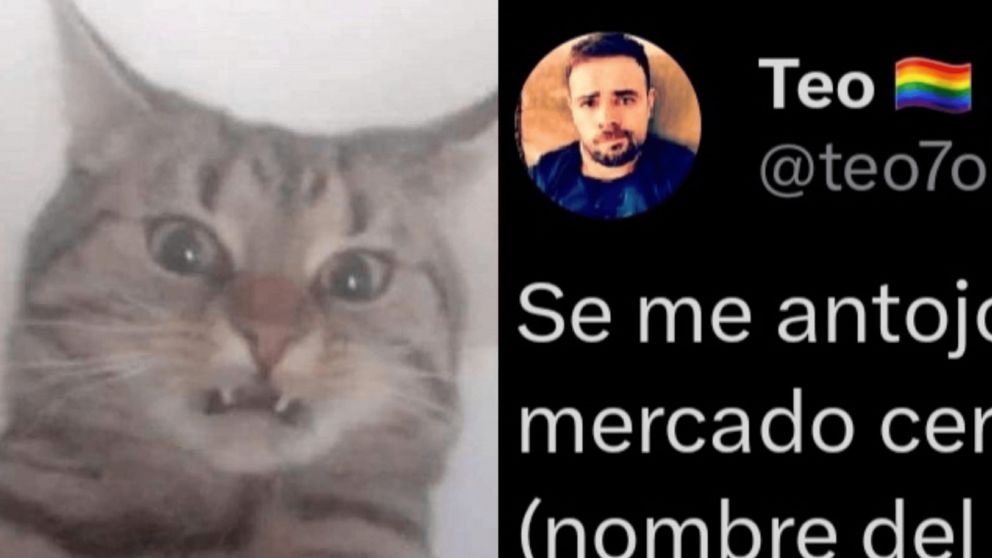 Compró un kilo de vacío, llegó a su casa y quedó shockeado cuando vio lo que le vendieron (Twitter/ @teo7ok)