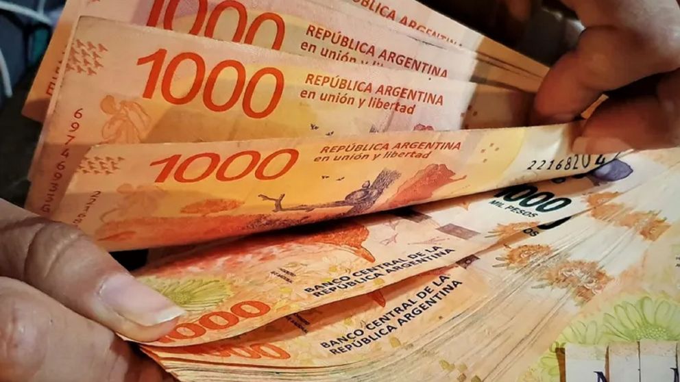 Bono de Anses de $94.000: cuándo comienza el pago y el calendario completo del refuerzo