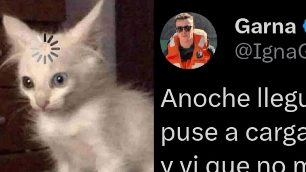 Estaba borracho y puso a cargar su celular en un insólito lugar (Twitter/ @IgnaGarnero)