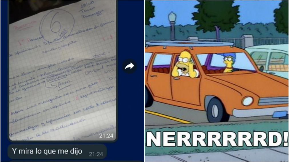 El insólito planteo de un joven a su "chonga" luego de que ella sacara "6" en un parcial de la facultad: "No estás en el secundario"