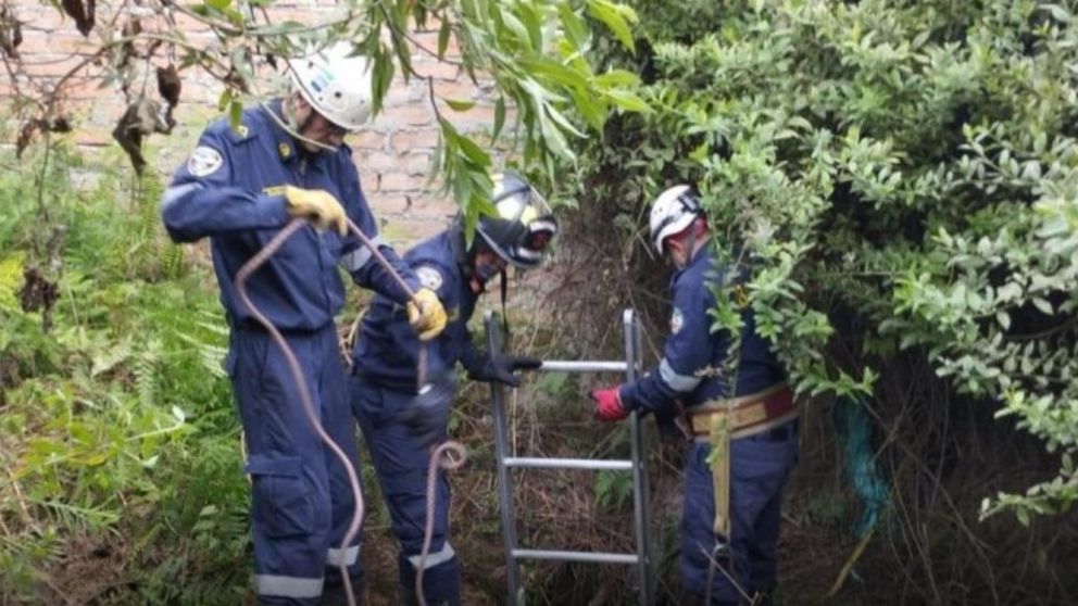 Bomberos desarrollaron una serie de maniobras para extraer los restos.