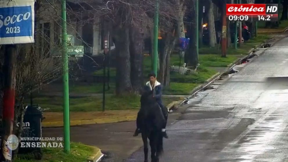 El delincuente asaltó una heladería montado en un caballo (Crónica HD).