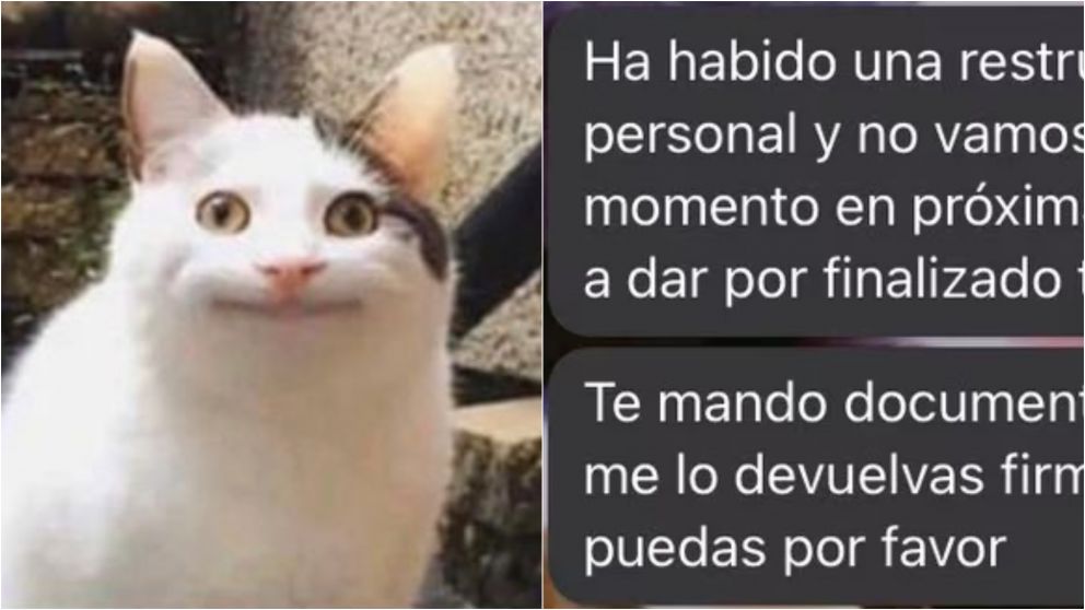 Celebró en redes su nuevo trabajo, pero a las 10 horas la llamaron por la peor noticia: "¿Ya me echaron?"
