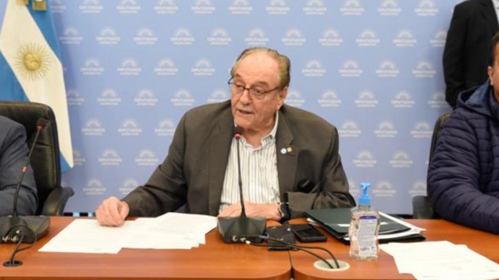 La comisión es presidida por el legislador oficialista Carlos Heller (Gentileza Diputados Argentina).