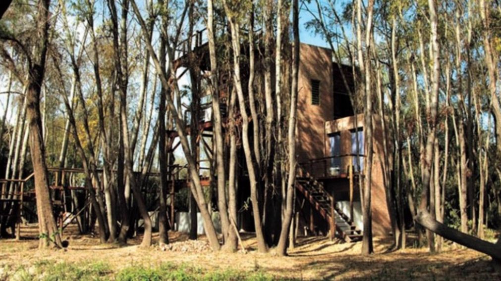 Revelador: misterios del Delta del Paraná.