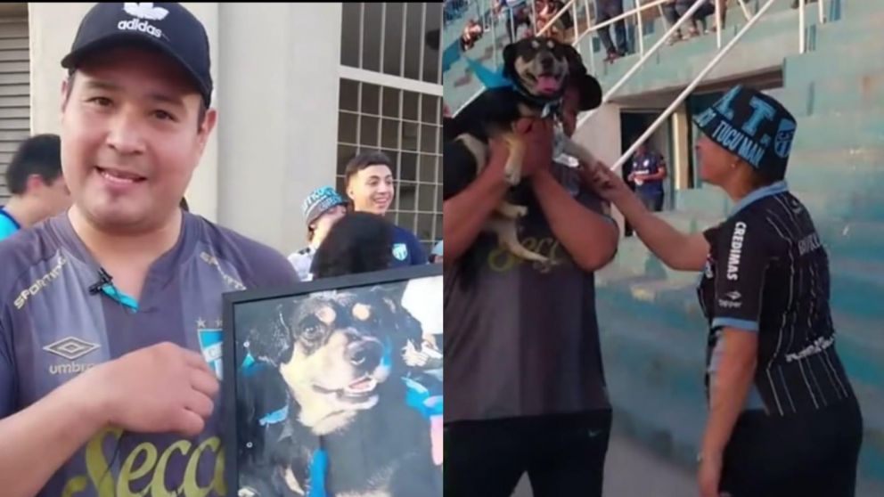 "Porquería": el perro más famoso de Tucumán que enamoró a todos en TikTok.
