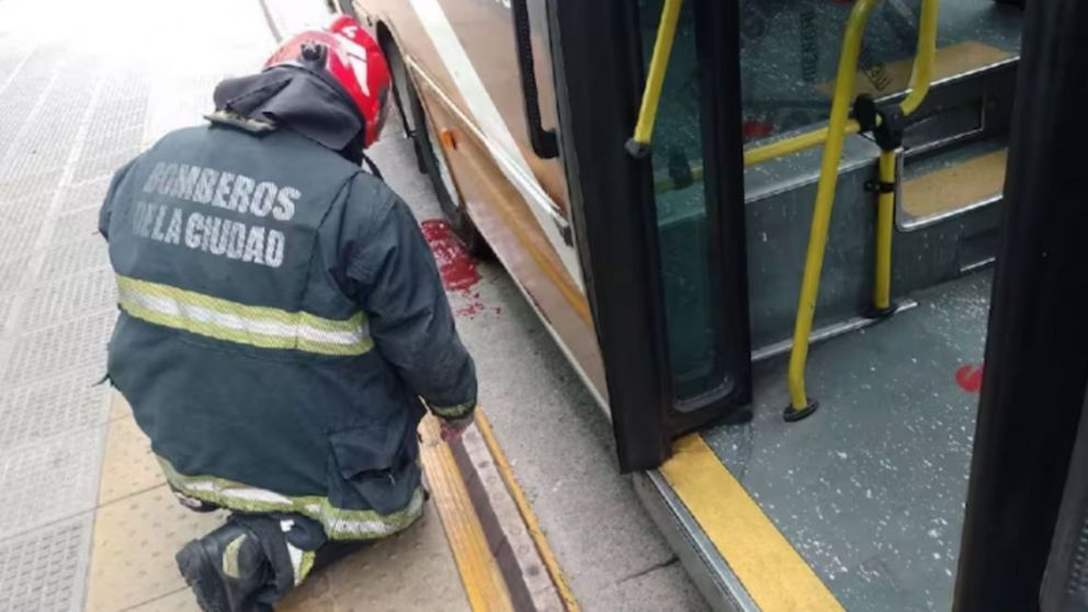 Bomberos y la Brigada Especial Federal de Rescate (Befer), se hicieron presentes en el lugar (Gentileza Policía de la Ciudad).
