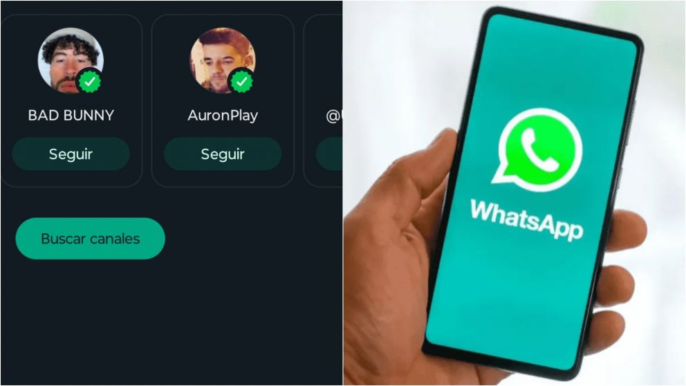 Qu� son y c�mo utilizar los canales de WhatsApp, que te permitir�n interactuar con celebridades