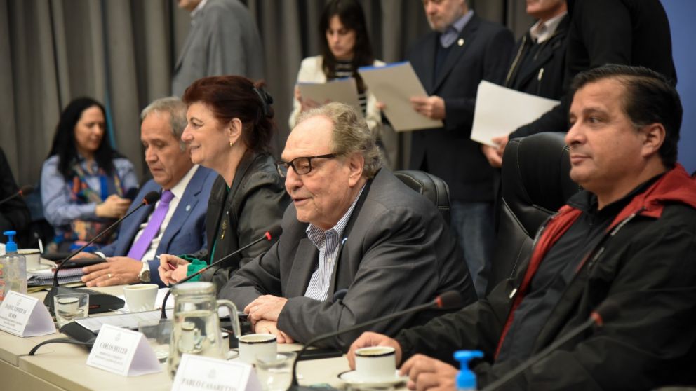 La iniciativa comenz� a ser debatida en Diputados.