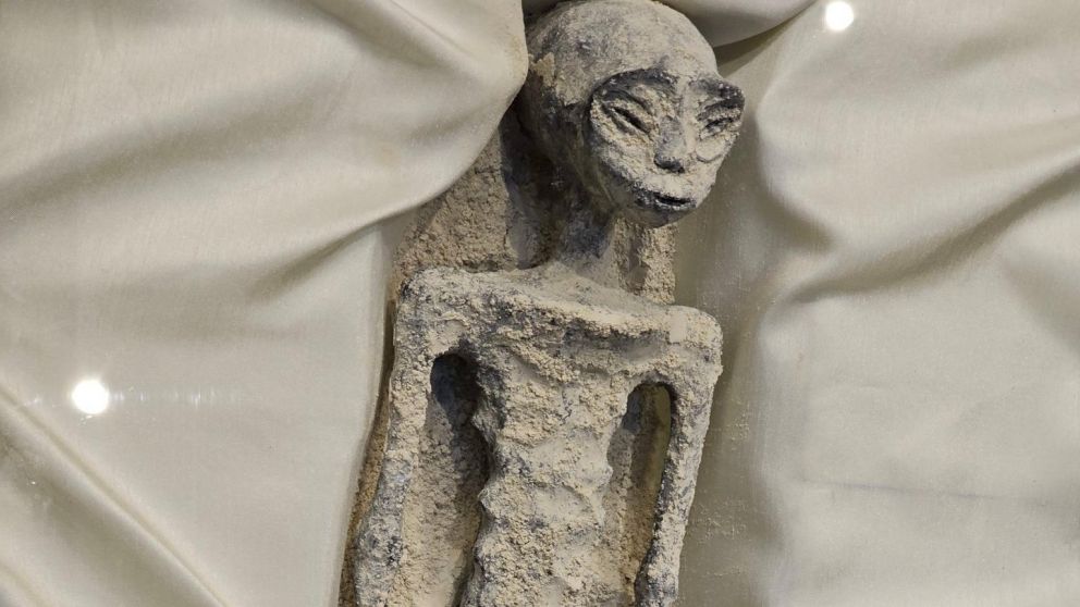 Uno de los extraterrestres expuestos en la C�mara de Diputados de M�xico (Twitter).