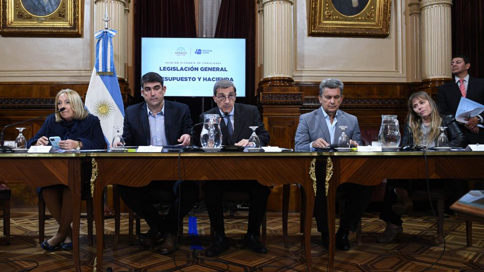 Se realizó una nueva jornada de debate por la Ley de Alquileres (gentileza Senado).