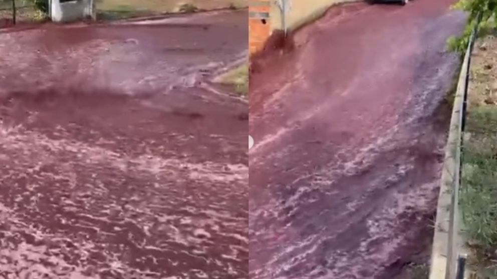 Un río de vino tinto inundó las calles de un pueblo tras la explosión de dos tanques (Imagen captura vídeo).