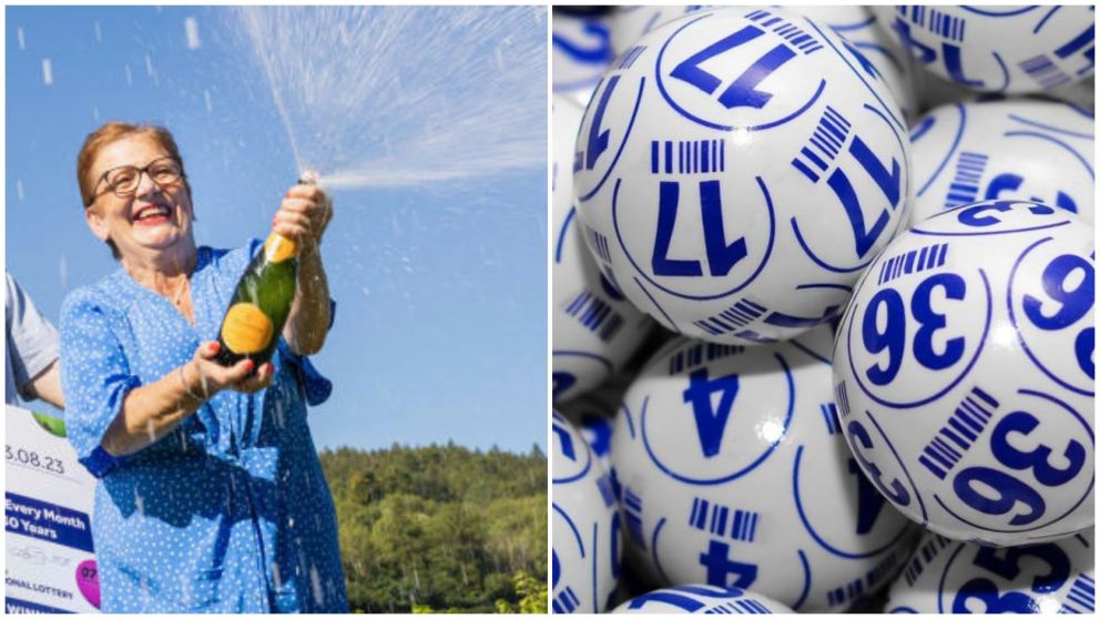 Una señora apostó a la lotería por dos "arañas del dinero" y se ganó un premio millonario (Twitter/@TNLUK).