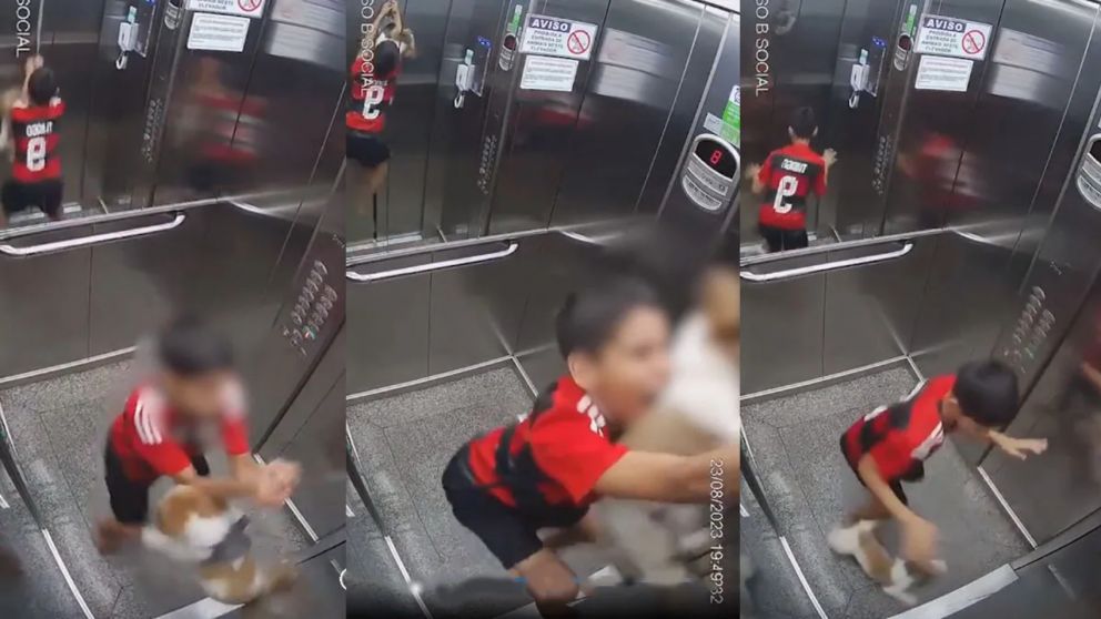 Un nene se transformó en héroe y salvó a su perro en un ascensor (Imagen captura video).