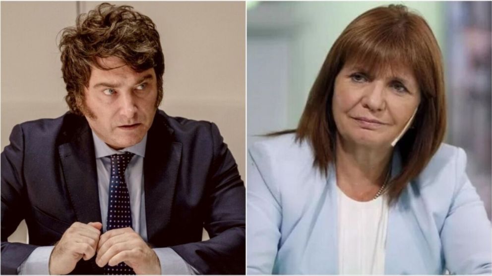 Javier Milei y Patricia Bullrich fueron cr�ticos con los anuncios de Sergio Massa.