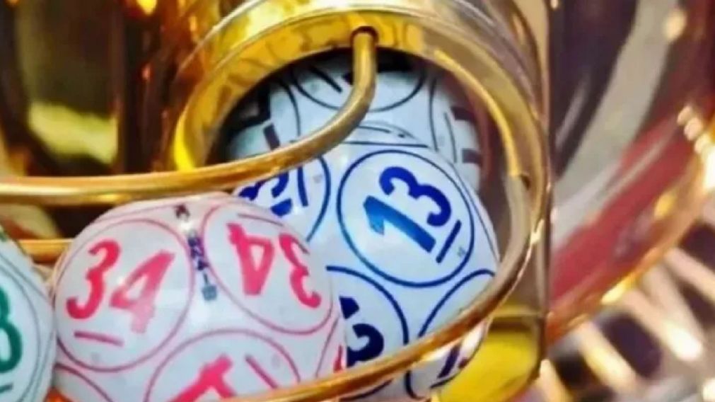 Ganó 717.500 dólares en la lotería gracias a un gatito perdido