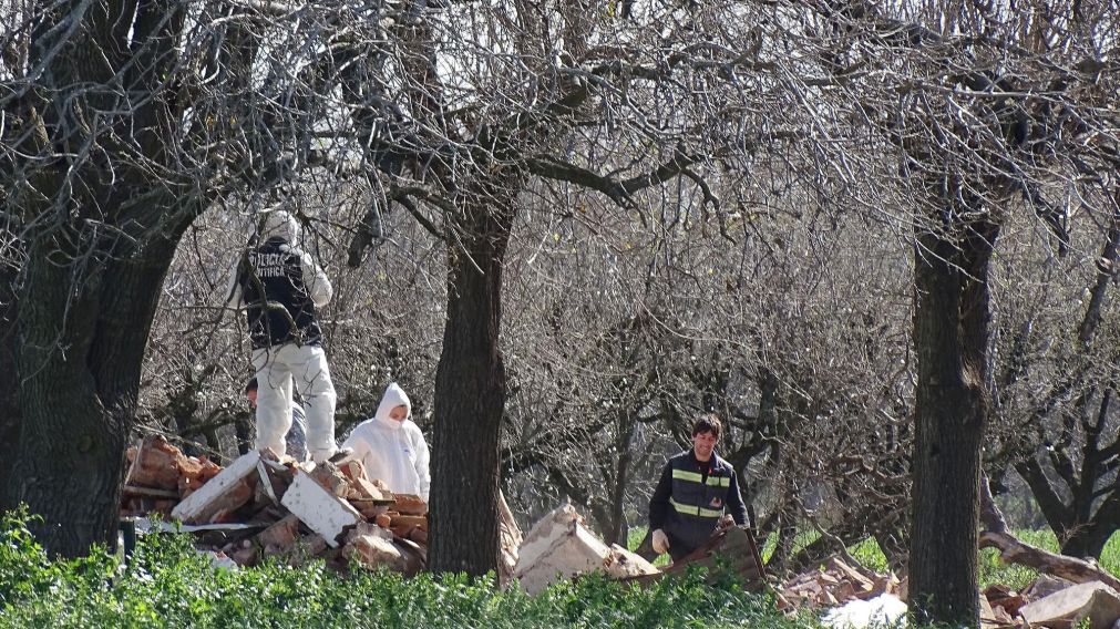 Se inspecciona un predio de General Rodríguez (Télam).