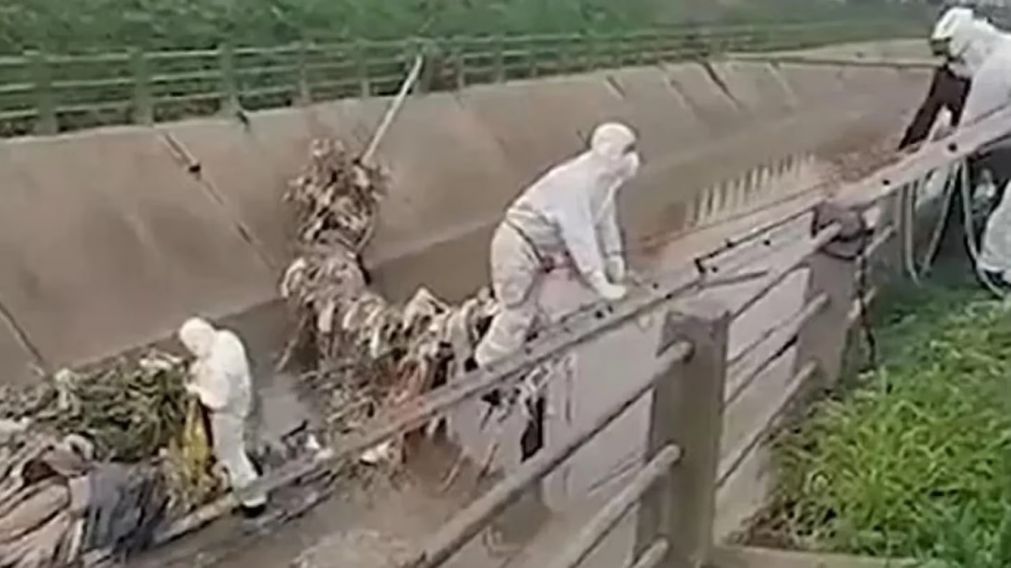 Encontraron el cuerpo de un hombre en un arroyo en General Pacheco (Imagen La Noticia 1).