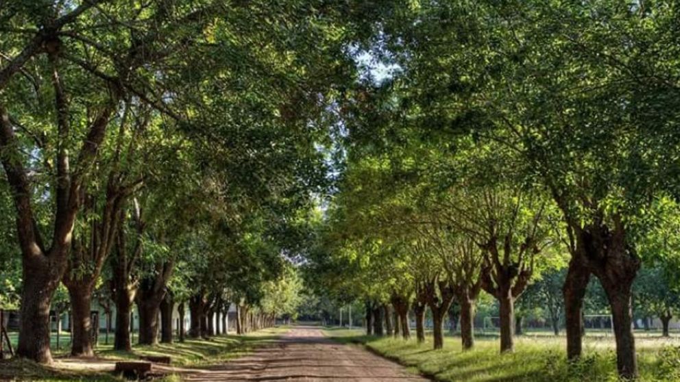 Berdier, el pueblo más pequeño de Buenos Aires que parece "detenido en el tiempo" y posee hermosos rincones naturales.