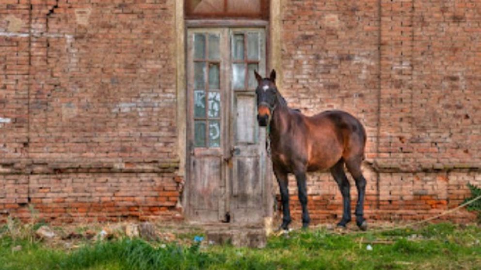 La Violeta, un rinconcito "escondido" cerca de CABA.