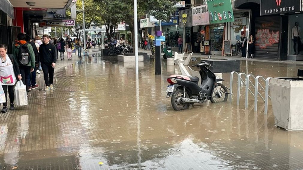 Inundaci�n de Rivadavia entre Mitre y Alvear: Ceci Soler explic� cu�es fueron los motivos