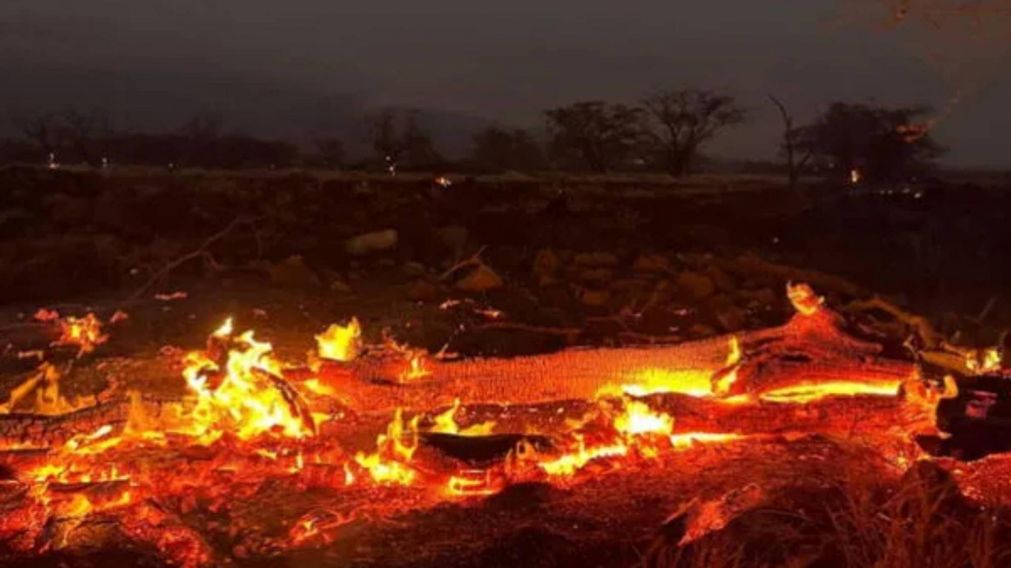 Aumentan a 106 las muertes por los incendios en Hawái y creen que la cifra puede crecer.