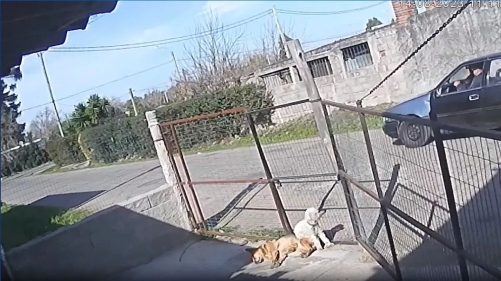 Atrapó a un delincuente, lo atacó a su auto y lo arrastró por varias cuadras para vengarse.