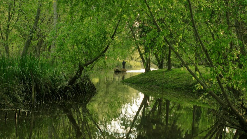 El Ojo: la misteriosa isla que queda a solo 60 kilometros de Capital Federal.