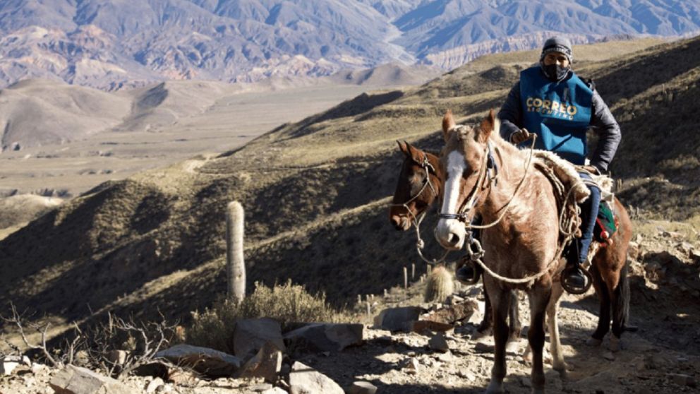 La travesía de las urnas para llegar en lomo de mula para las Elecciones PASO 2023 (Twitter/@CorreoOficialSA).