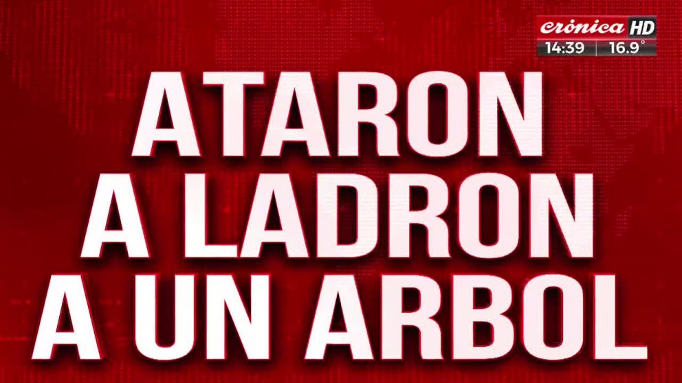 Así vecinos capturaron y ataron a un ladrón en un árbol.