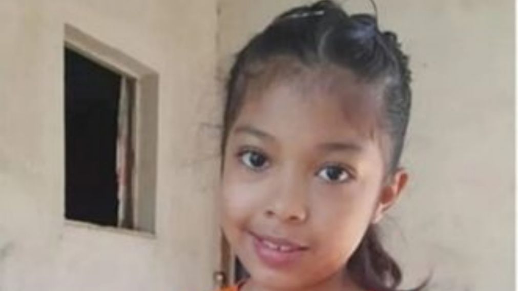 La niña tiene 11 años y desapareció en la ciudad de Tartagal.