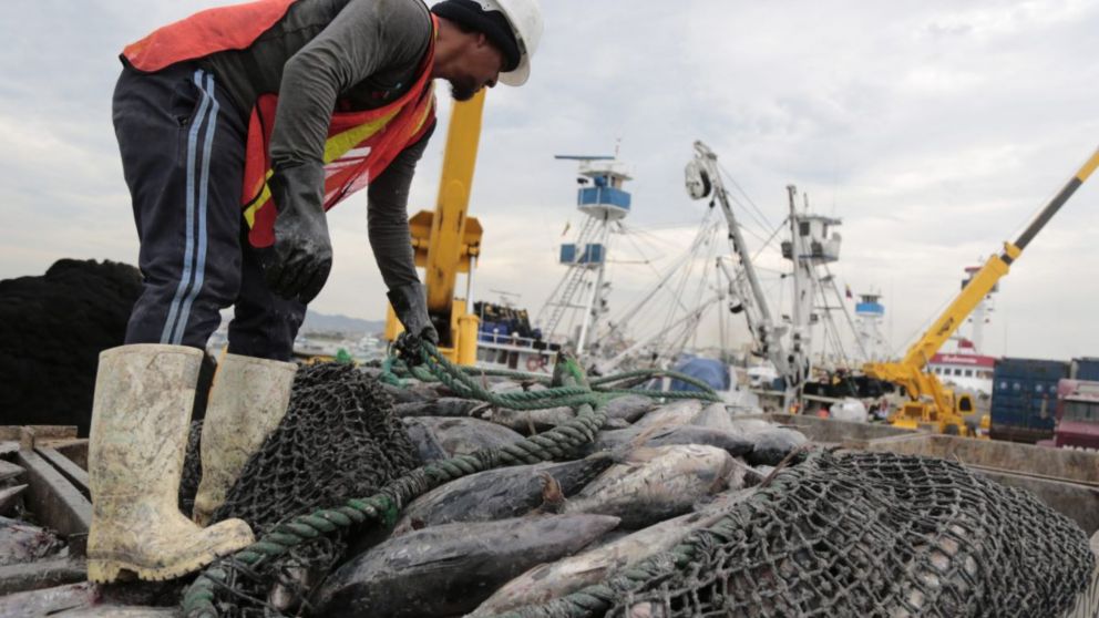El convenio beneficiará al sector pesquero argentino, que continúa ganando destino para sus productos.