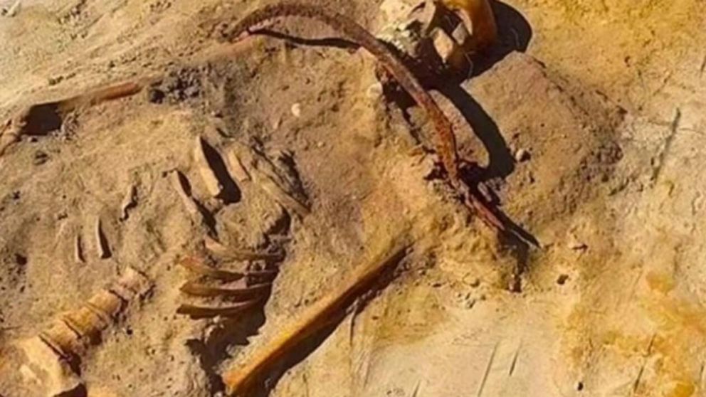 El hallazgo del "niño vampiro" tuvo lugar en Polonia (Twitter).