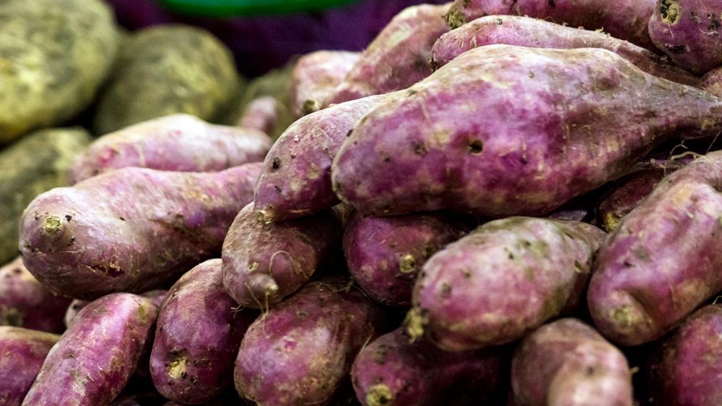 El precio de la batata registró en julio último una suba interanual de 220% (Gentileza Mercado Central de Buenos Aires).