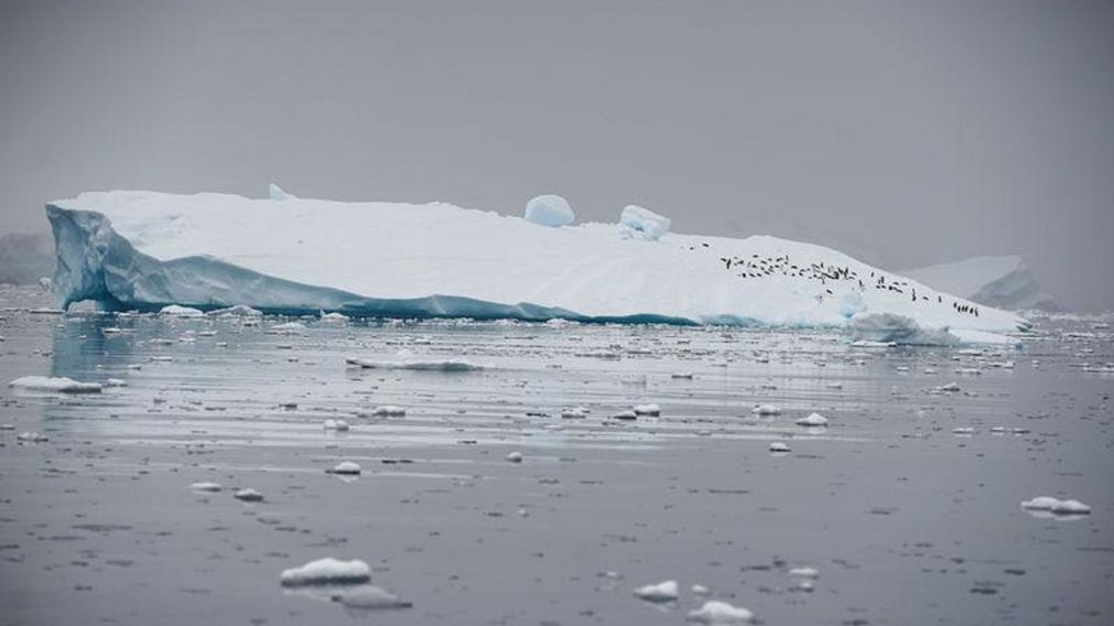 Evidencian el impacto del cambio climático en una de las áreas más frágiles del planeta (Gentileza: Reuters).