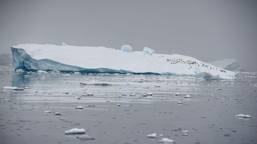 Evidencian el impacto del cambio climático en una de las áreas más frágiles del planeta (Gentileza: Reuters).
