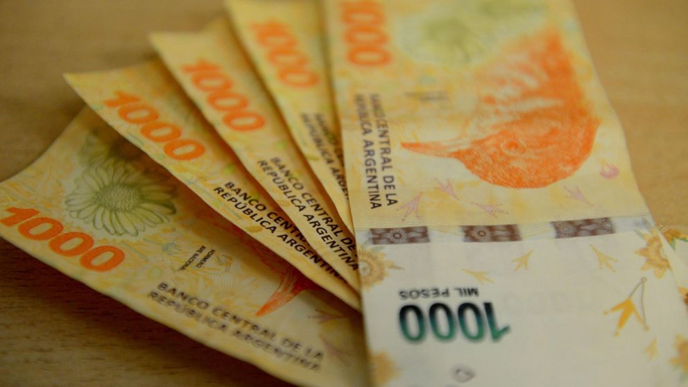ANSES: ¿Cómo será el pago de $56.000 extra en agosto? (Hernán Nersesian / Crónica).