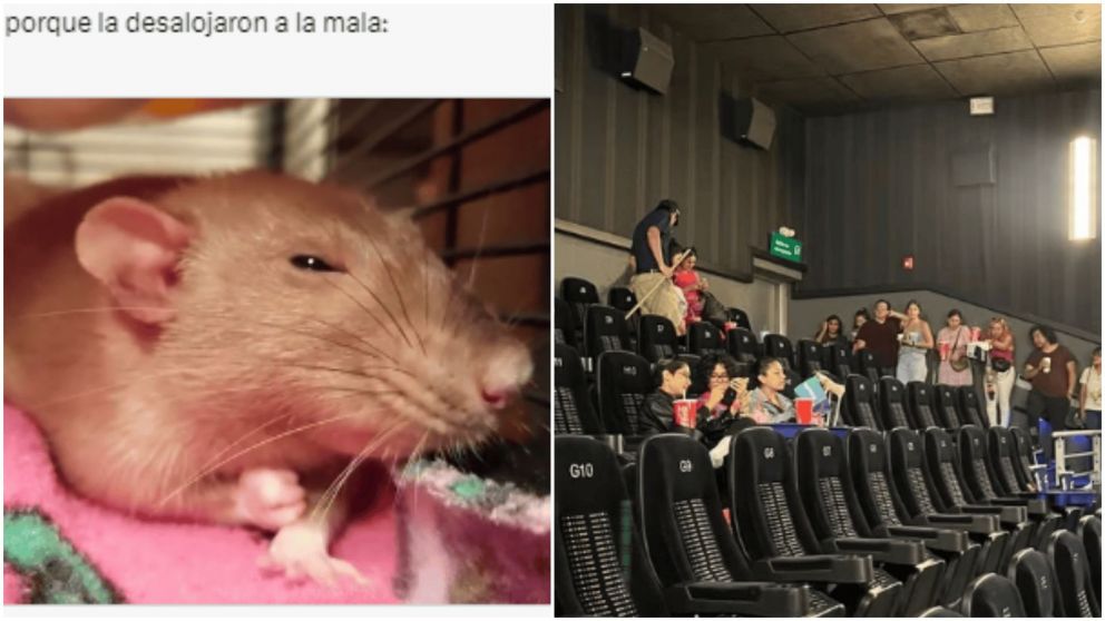 Los empleados del cine debieron frenar la función de "Barbie" por el intruso inesperado (Twitter/drea_arreolaa00).