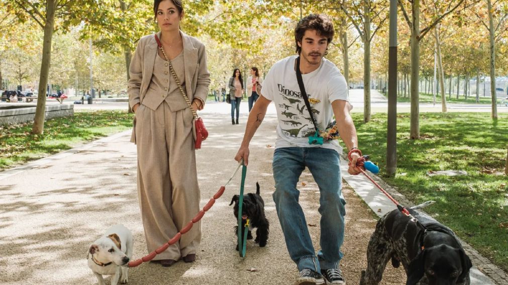 Llega a Netflix una nueva miniserie que adapta la historia romántica de un popular bestseller.
