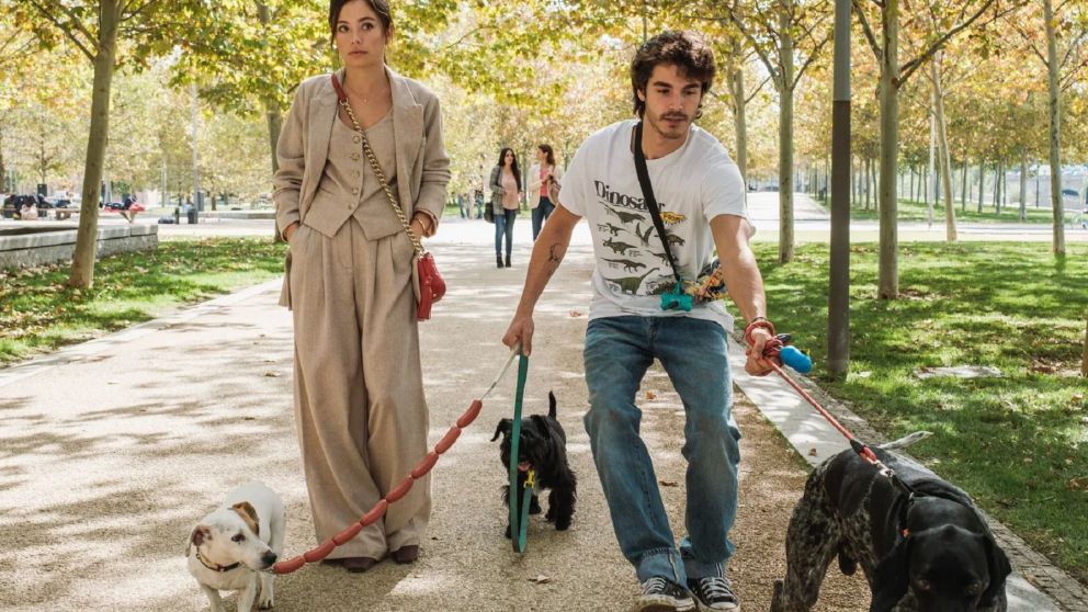 Llega a Netflix una nueva miniserie que adapta la historia romántica de un popular bestseller.