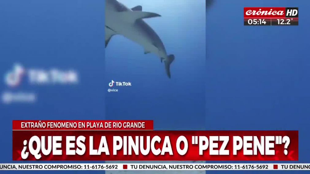 Crónica HD